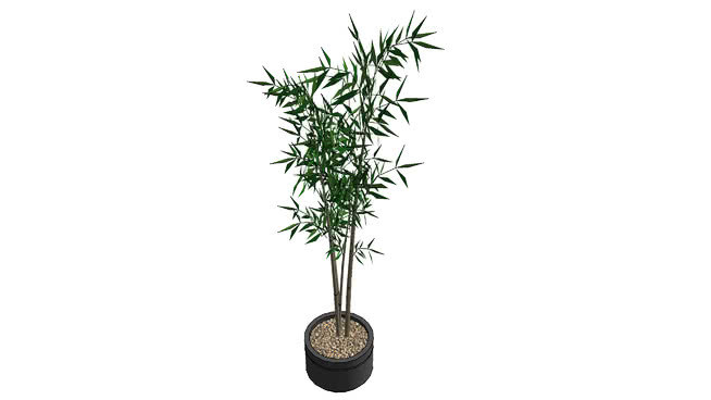 地下室植物 饰品 项链 钥匙 其他