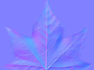 其他法线