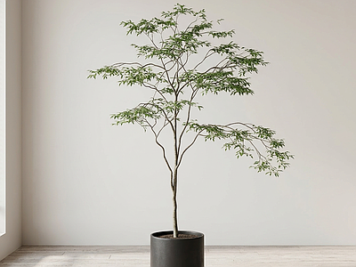 艺术绿植盆栽