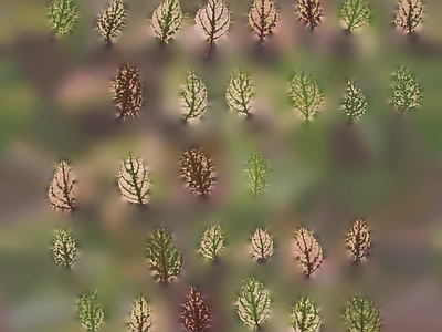 绿植墙