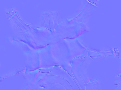 其他法线