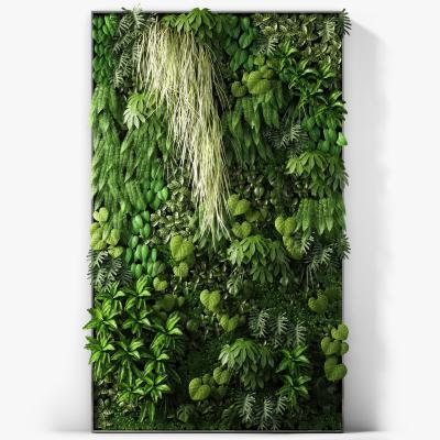 现代植物背景墙