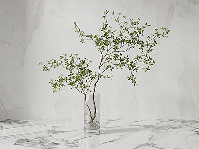 艺术绿植灌木