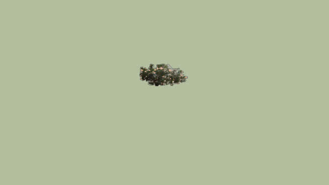 夹竹桃 植物 迷雾 其他 蜜蜂 火柴