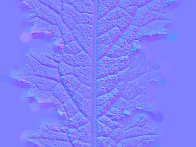 其他法线