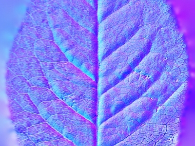 其他法线