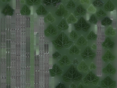 绿植墙