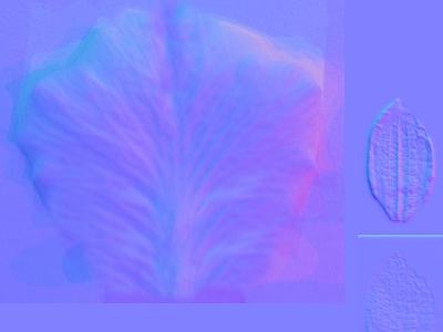 其他法线