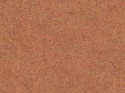 硅藻泥