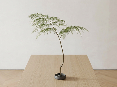 造型绿植盆栽