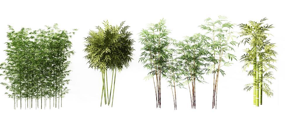 新中式竹子组合