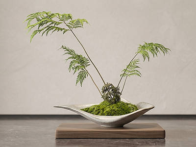 艺术绿植绿植摆件