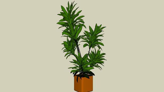 3D室内植物 其他 画 菠萝