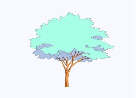 2D植物树