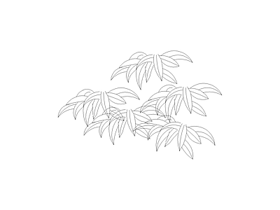 常用植物图例 硬头黄竹