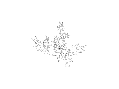 种绿植盆栽图块 植物