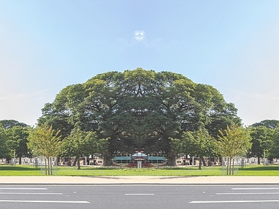 街道外景