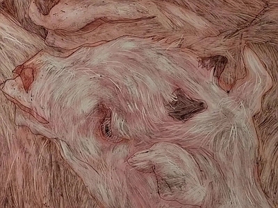 动物皮毛