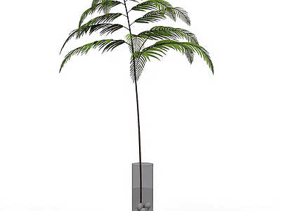 带盆绿植模型