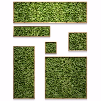 现代植物背景墙组合