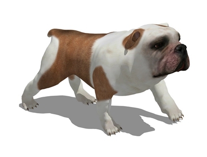 狗