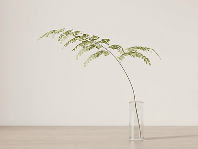 艺术绿植草本植物