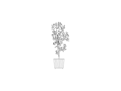 绿植 植物图块