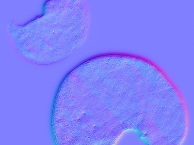 其他法线