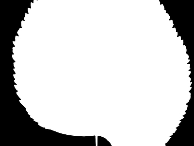 高光