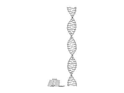 DNA
