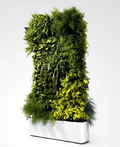 植物墙 贴图 自然元素