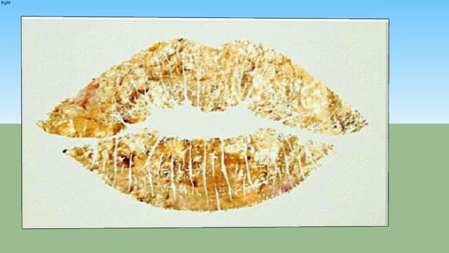 墙面艺术“金唇” 百吉饼（硬面包圈） 饰品 蜂窝 画 抹布