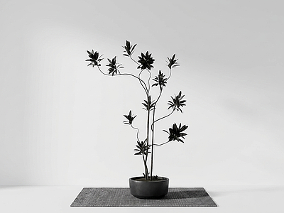 艺术绿植盆栽