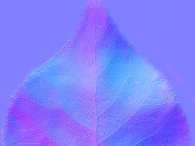 其他法线