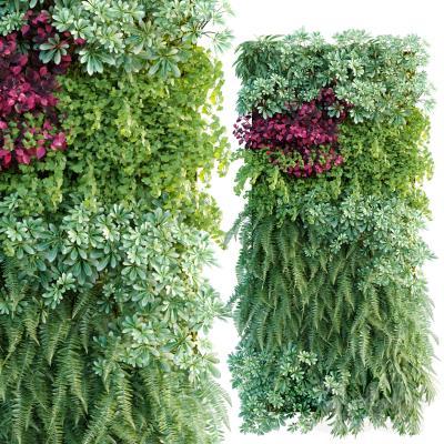 现代植物墙 墙