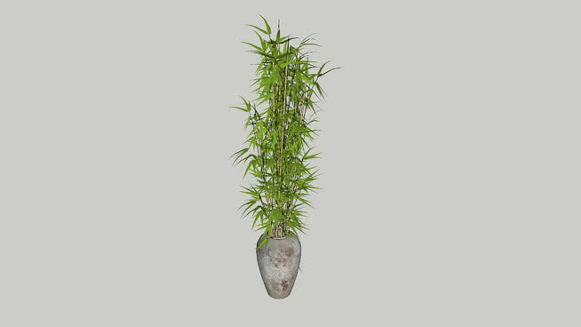 9英尺盆栽竹 草蜻蛉 其他 饰品 迷雾
