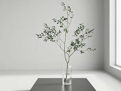 艺术绿植灌木
