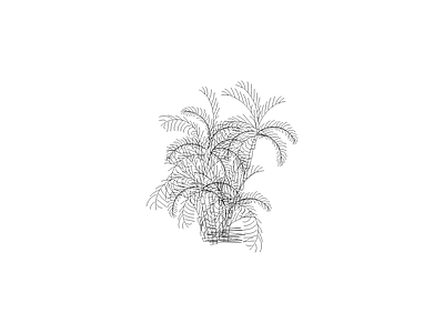灌木种植 常用植物图例