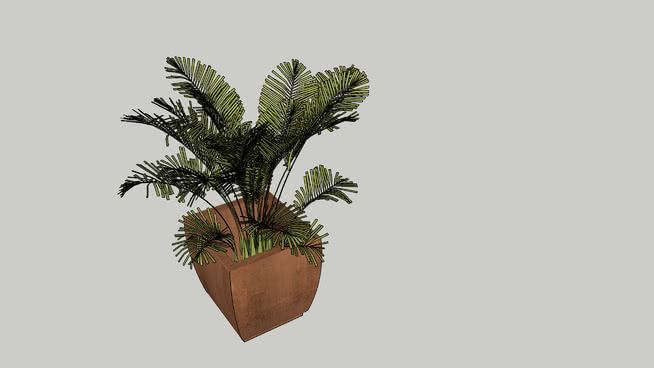 植物（棕榈） 植物 菠萝 其他 花瓶