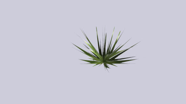 三维Low Poly Grass 植物 其他 迷雾 草地 菠萝