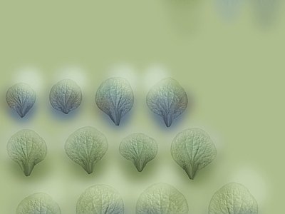 绿植墙