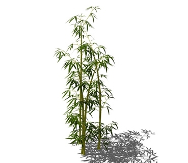 竹子