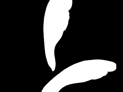高光