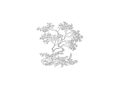 乔木种植 植物图块