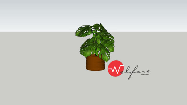 花瓶花盆中的植物-植物 其他 甜椒 树蛙 饰品 蔬菜
