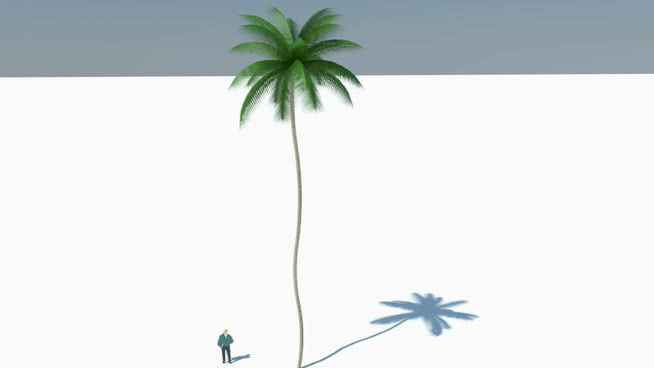 椰子树3D 其他 画 植物 相框 花瓶