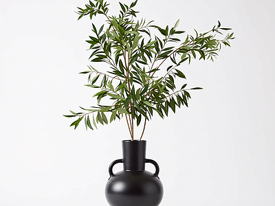 盆栽植物装饰