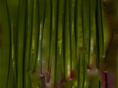 绿植墙