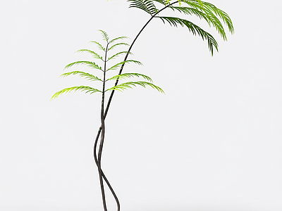 绿色枝叶植物模型