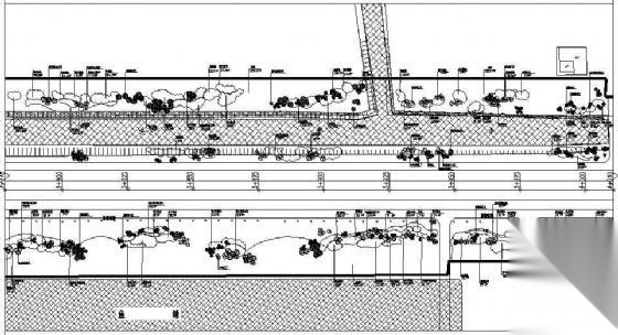 城市道路B标段绿化竣工图 景观 规划设计